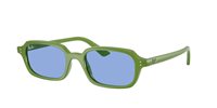 Gafas de sol Ray-Ban 445568108052